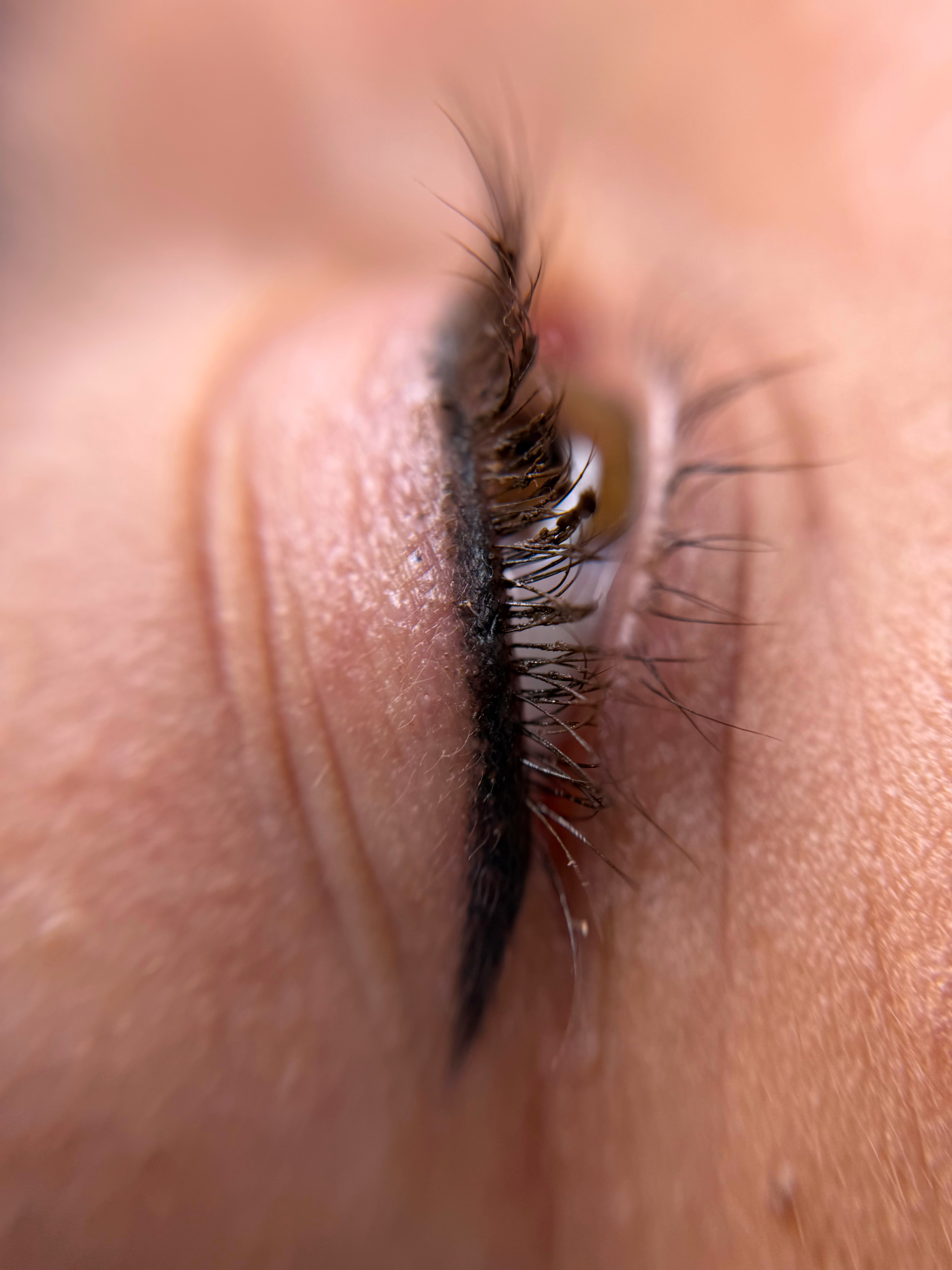 Trajna šminka ajlajner