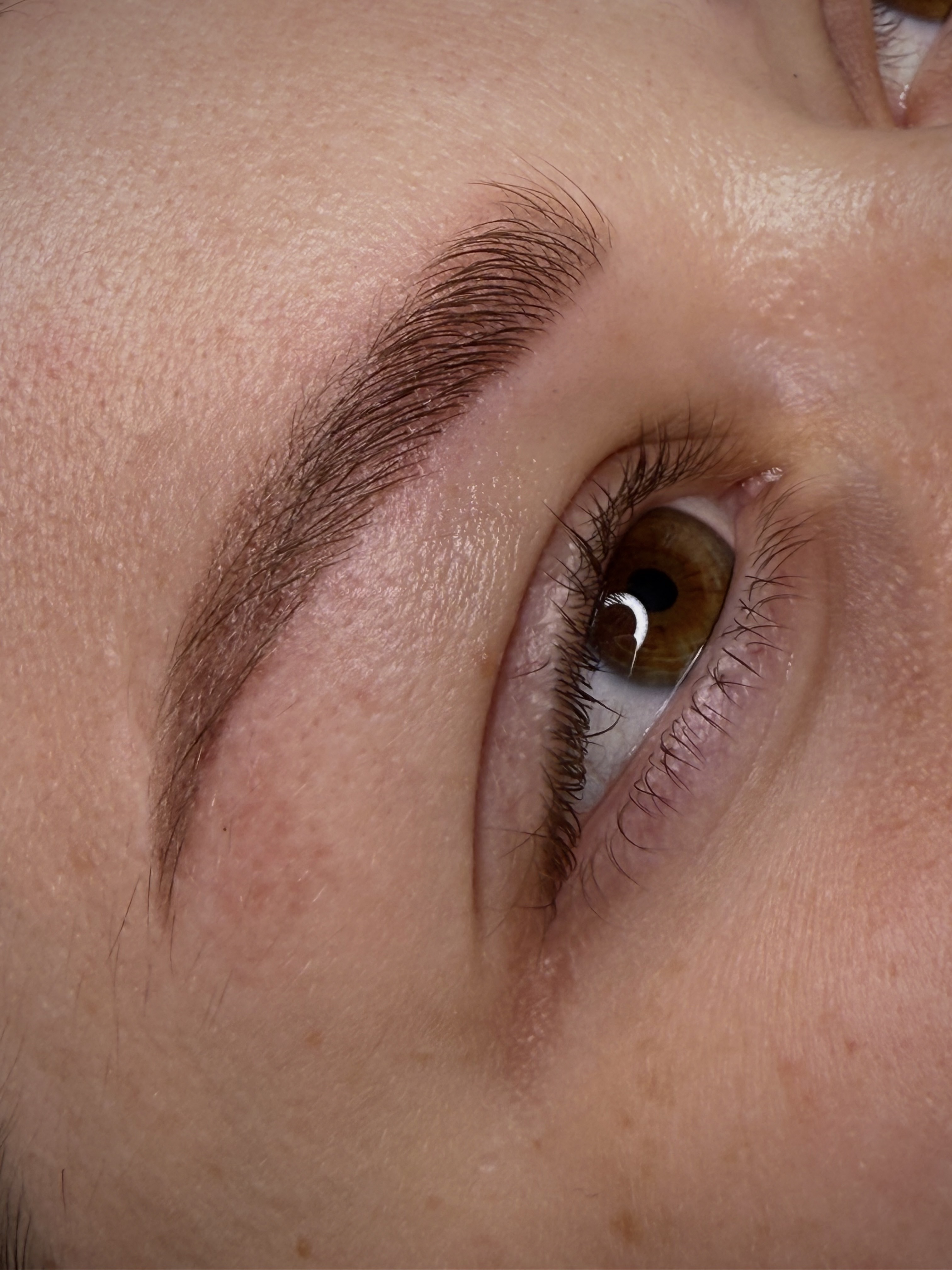 Trajna šminka obrva