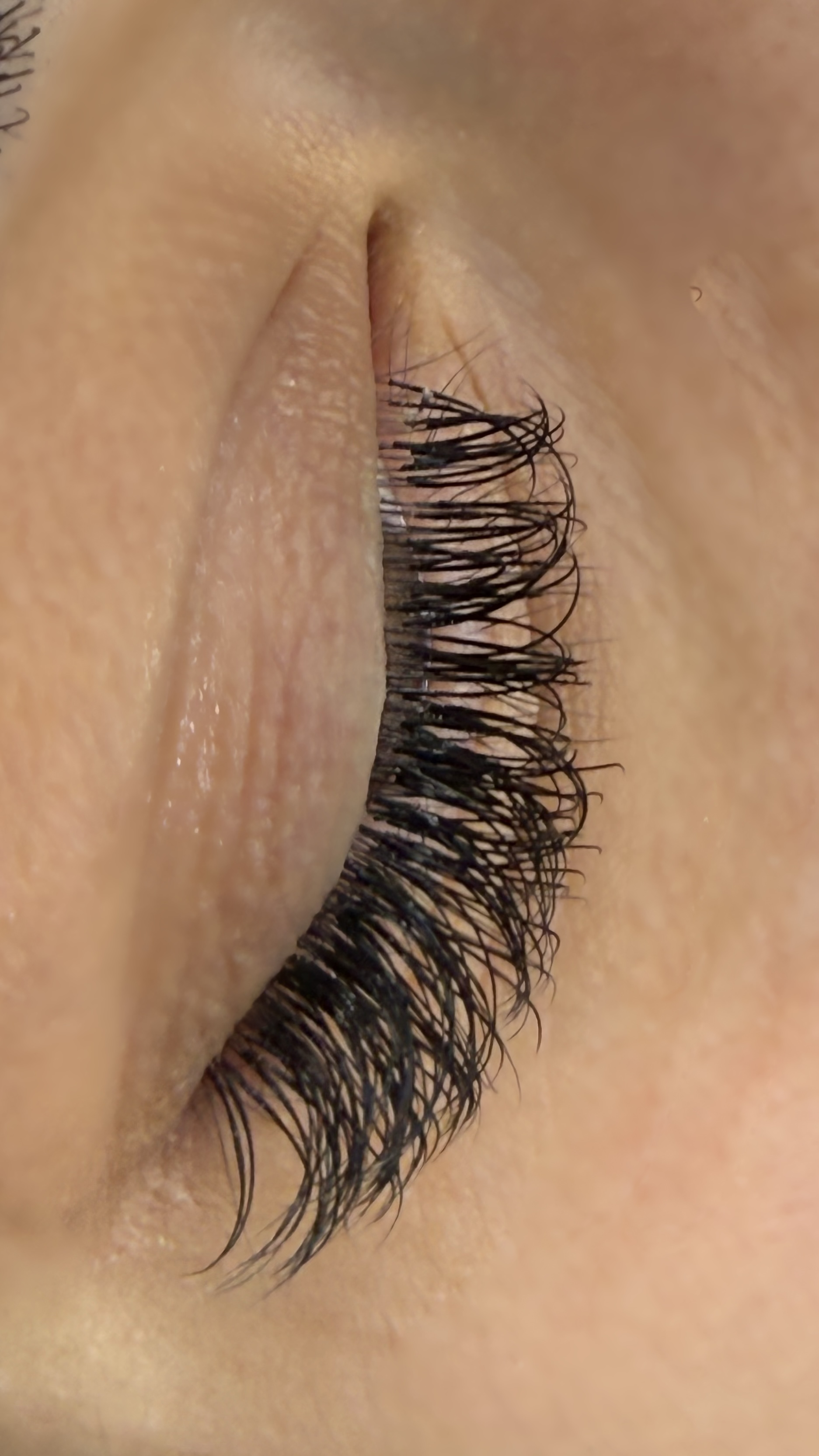 M.R. Beauty galerija